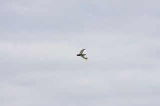 40 Jahre MFV Lahntal 2017