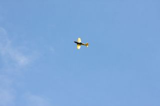 40 Jahre MFV Lahntal 2017