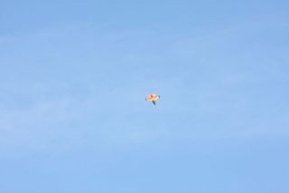 20170513_MFV-Lahntal_40-Jahre_180.jpg